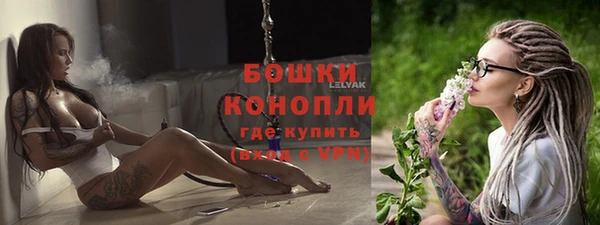 индика Волосово