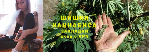 spice Верея
