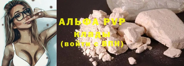 spice Верея